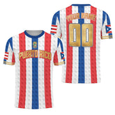 Custom Name Number Puerto Rico Soccer Jersey, Men Quick Dry Soccer Jersey, Football Uniforms for Team