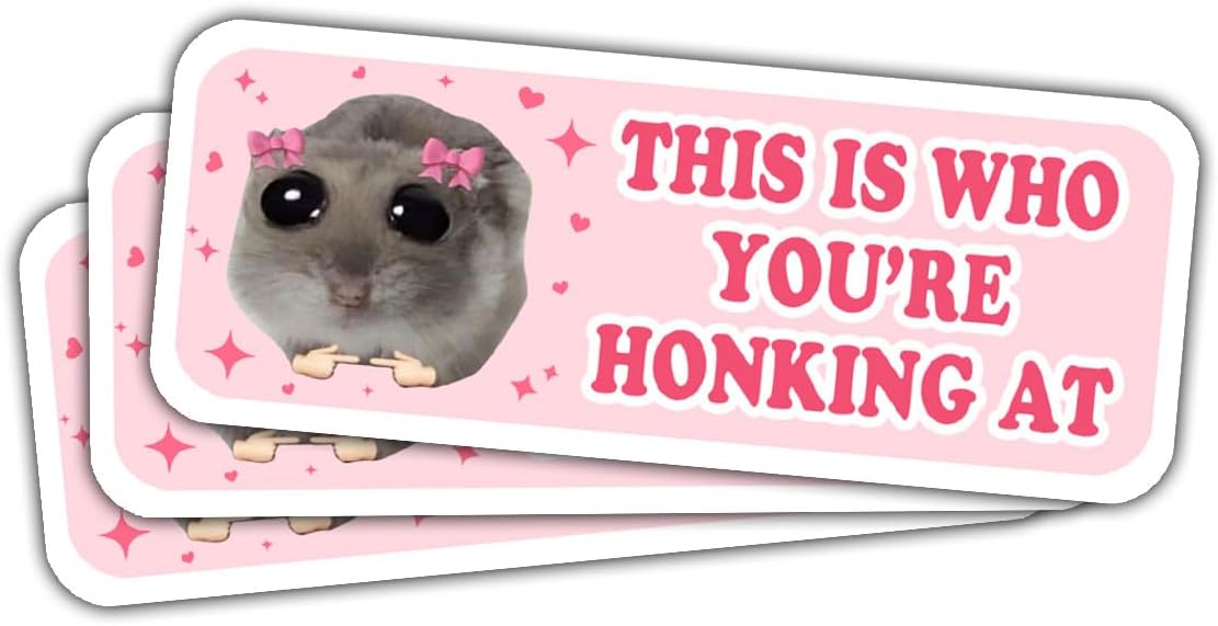3 Pcs This is Who You are Honking at Sad Hamster Bumper Sticker, Please Don't Honk This is Me Pink Meme Sticker - Vinyl Decal 5 inches for Water Bottles Laptop Phone Car Helmet