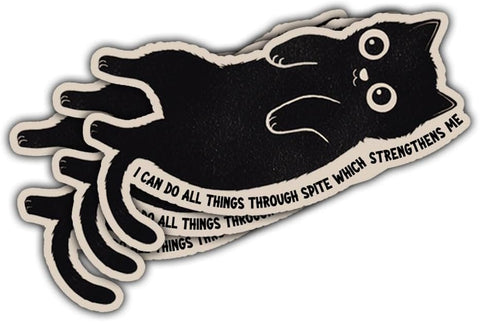 3Pcs I Can Do All Things Through Spite Which Strengthens Me Sticker I Can Do All Things Through Christ Stickers Snarky Subversive Sarcastic Decal for Laptop Bottle Phone Car Hard Hat 3"x3"