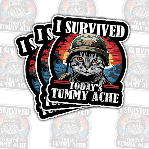 3pcs Military Meme Cat Today's tummy ache Sticker, Waterproof Vinyl Stickers for Laptop Kindle Car Tumbler Mug Phone Notebook