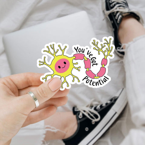 3 Pcs You've Got Potential Sticker, Neuroscience Stickers, Neuroscience Brain Sticker, Funny Medical Stickers Nurse Cute Neuron Sticker for Water Bottle Tumbler Phone Case Laptop 3"x3"