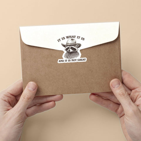 (3 Pcs) It is What It is and It Not Great Sticker, Funny Raccoon Sticker - Stickers for Laptop Water Bottle Phone Car Window Helmet Vinyl Stickers 3 Inches