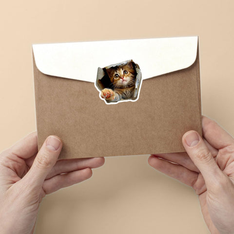 (3pcs) Cat Wall Sticker, Peeking Cat Sticker for Wall, 3D Wall Stickers, Self Adhesive Wall Mural, Tabby Cat Decals - Vinyl Stickers 3 Inches for Laptop Water Bottle Phone Car Window Helmet (Cat 1)