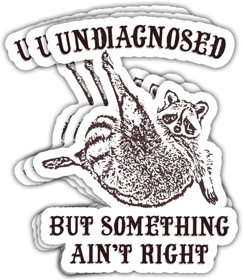 3Pcs Undiagnosed But Something Ain't Right Sticker Funny Raccoon Trash Panda Gift Undiagnosed But Something is Definitely Wrong Stickers Sarcastic Decal for Laptop Bottle Phone Car Hard Hat 3"