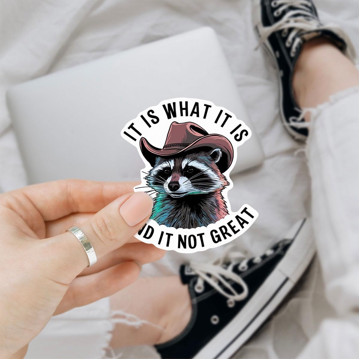 (3pcs) Raccoon It is What It is and It is Not Great Sticker, Raccoon Sticker, Sticker Die-Cut Waterproof Vinyl Sticker for Laptop Water Bottle Phone Window Helmet Decal Gift
