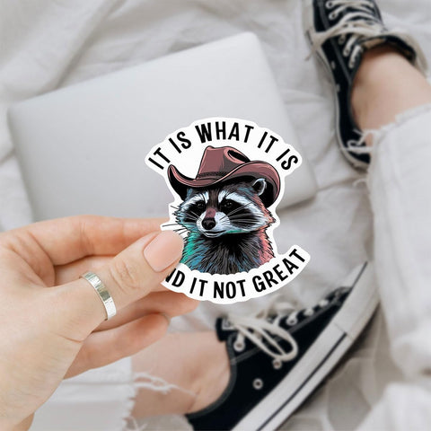 (3pcs) Raccoon It is What It is and It is Not Great Sticker, Raccoon Sticker, Sticker Die-Cut Waterproof Vinyl Sticker for Laptop Water Bottle Phone Window Helmet Decal Gift