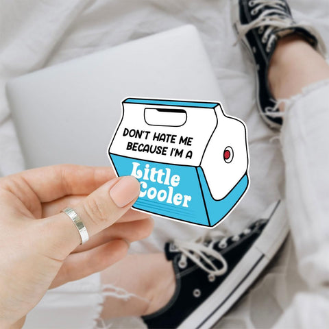3 Pcs Dont Hate Me Because Im a Little Cooler Sticker, Funny Little Cooler Pun Stickers for Laptop Bottle Phone Car Helmet 3"x3" (L2)