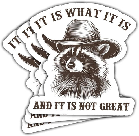 3Pcs It is What It is and It is Not Great Sticker Funny Raccoon Stickers Raccoon Meme It is What It is Bumper Sticker It is What It is Decal for Hardhats for Laptop Bottle Phone Car Hard Hat 3"