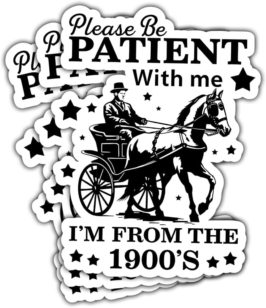 3 Pcs Please Be Patient with Me I'm from The 1900s Sticker, Cowboys Millennials Trendy Funny Sarcastic Stickers - Vinyl Stickers for Water Bottles Laptop Car Hard Hat Window Helmet 3 Inches