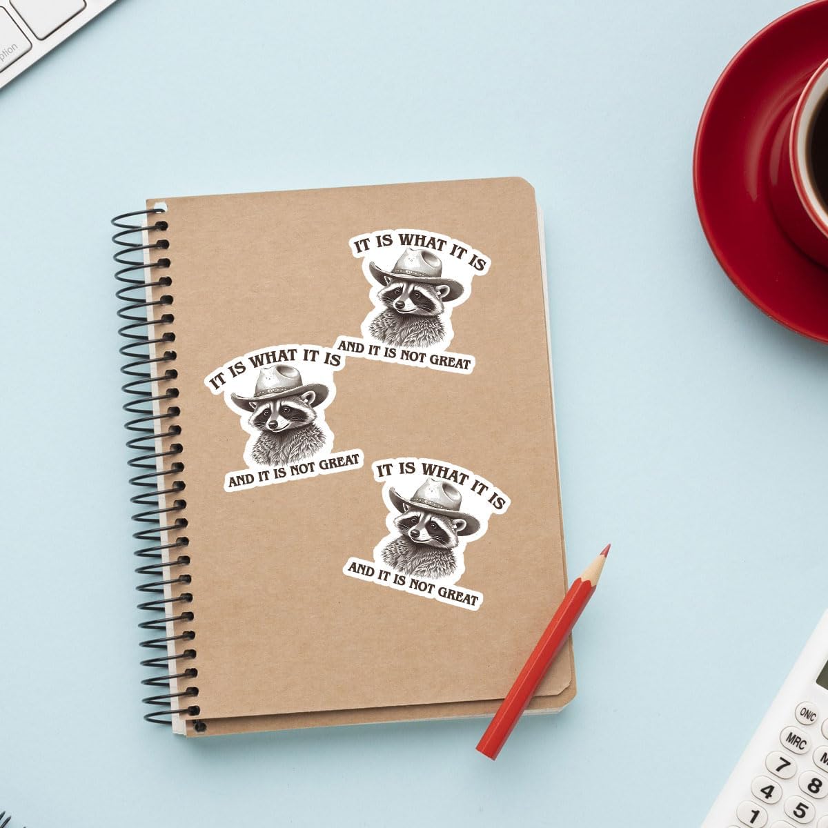 (3 Pcs) It is What It is and It Not Great Sticker, Funny Raccoon Sticker - Stickers for Laptop Water Bottle Phone Car Window Helmet Vinyl Stickers 3 Inches