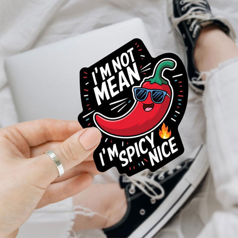 3 Pcs I'm Not Mean I'm Spicy Nice Sticker, I'm Not a Hot Mess I'm a Spicy Disaster Sticker Laptop Sticker, Funny Sticker Sarcastic for Water Bottle Tumbler Phone Case Laptop Cars 3"x3"