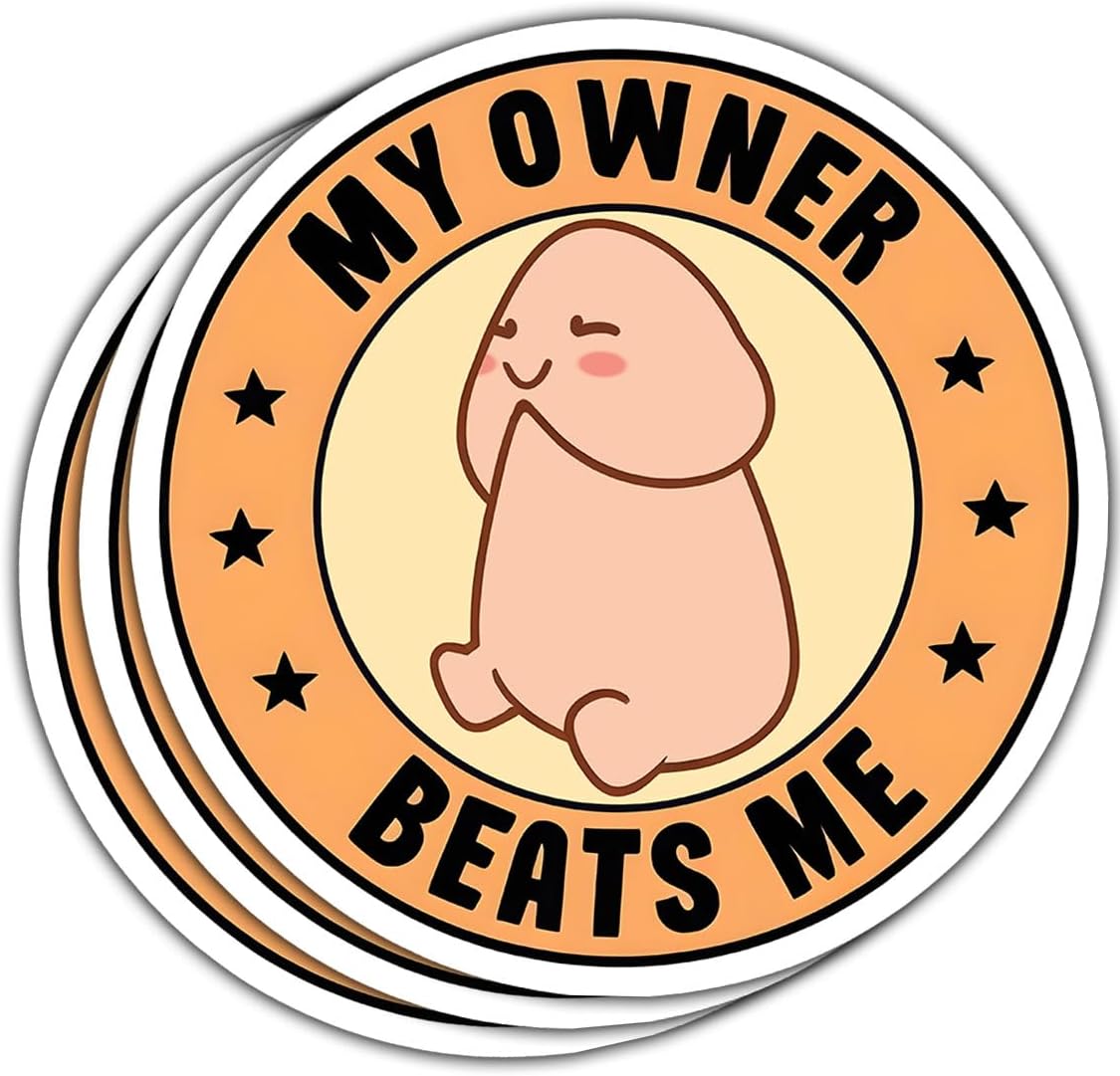 (3pcs) My Owner Beats Me Sticker, Beats Stickers Adult Humor Stickers, You're My Beat - Stickers for Laptop Water Bottle Phone Car Window Helmet Vinyl Stickers 3 Inches (Style 2)