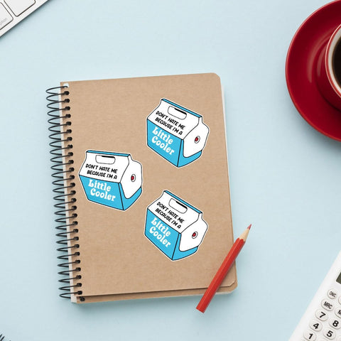 3 Pcs Dont Hate Me Because Im a Little Cooler Sticker, Funny Little Cooler Pun Stickers for Laptop Bottle Phone Car Helmet 3"x3" (L2)