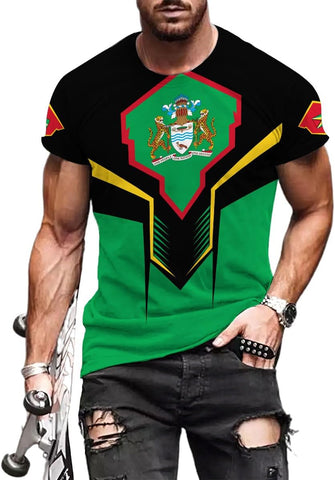 Parvii Personalized Guyana Shirts, Guyana Pride Tshirt, Guyanese Guyana Flag Shirt, Guyana Shirt for Men & Women, Guyana Gift