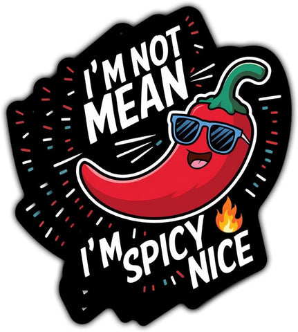 3 Pcs I'm Not Mean I'm Spicy Nice Sticker, I'm Not a Hot Mess I'm a Spicy Disaster Sticker Laptop Sticker, Funny Sticker Sarcastic for Water Bottle Tumbler Phone Case Laptop Cars 3"x3"