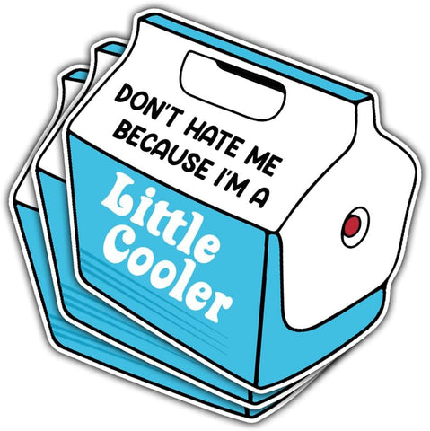 3 Pcs Dont Hate Me Because Im a Little Cooler Sticker, Funny Little Cooler Pun Stickers for Laptop Bottle Phone Car Helmet 3"x3" (L2)