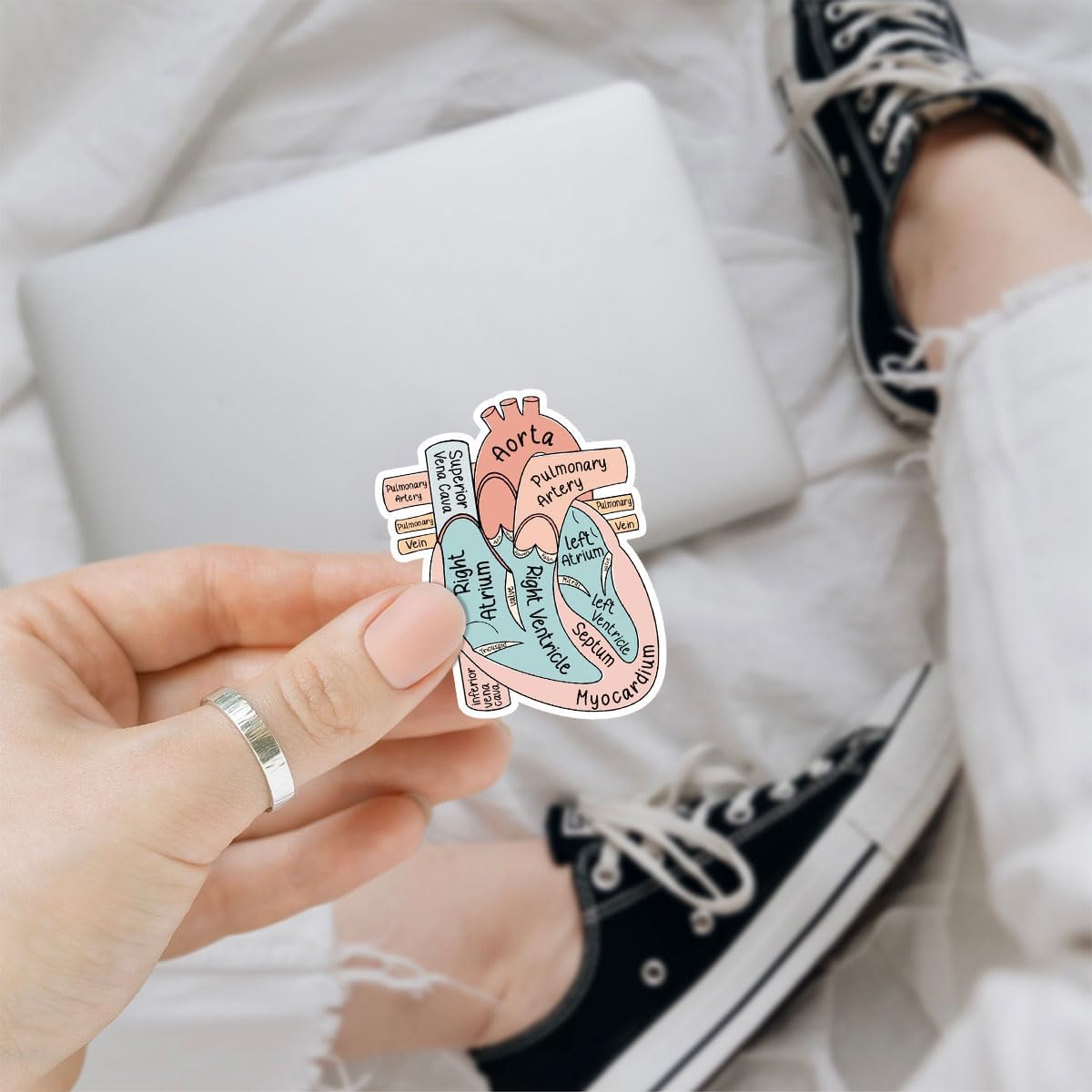3 Pcs Anatomical Heart Holographic Stickers, Medical Hologrpahic Vinyl Stickers, Holographic Vinyl Water Assistant Stickers for Laptop Phone Water Bottle Cardiologist Phone Case 3"x3"