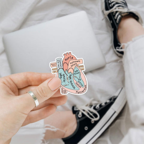 3 Pcs Anatomical Heart Holographic Stickers, Medical Hologrpahic Vinyl Stickers, Holographic Vinyl Water Assistant Stickers for Laptop Phone Water Bottle Cardiologist Phone Case 3"x3"