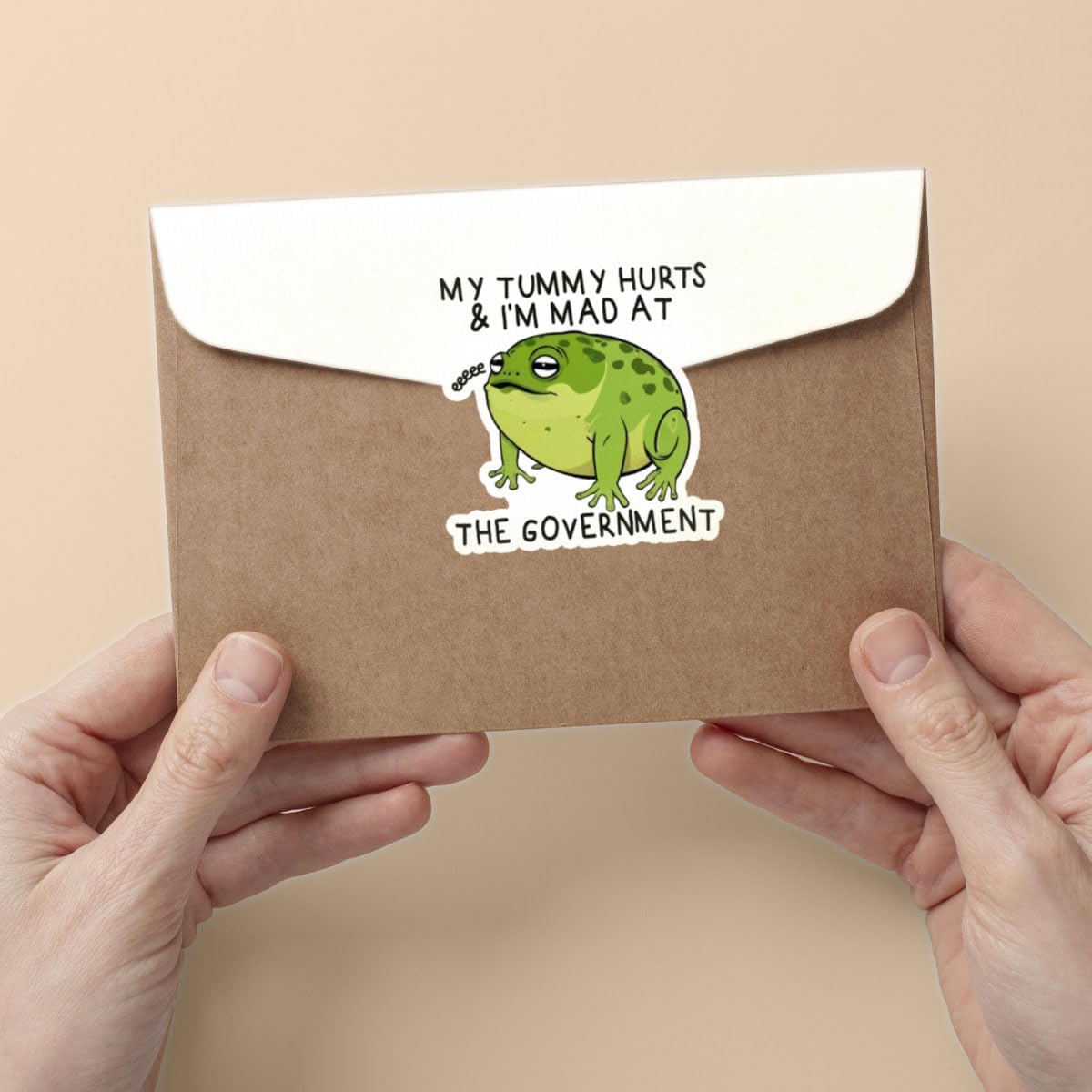 3 Pcs My Tummy Hurts and Im Mad at The Government Sticker, Sarcastic Humor Frog Stickers Waterproof - Vinyl Stickers for Water Bottles Laptop Car Hart Hat Helmet 3 Inches