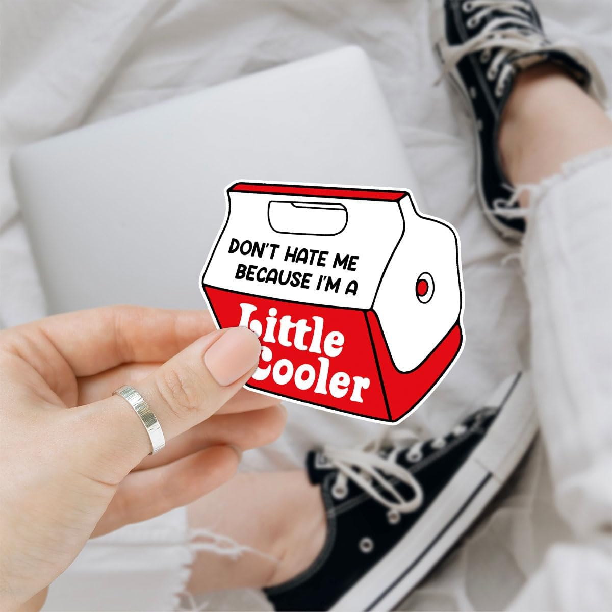 3 Pcs Dont Hate Me Because I'm A Little Cooler Sticker, Cooler Funny Pun Stickers for Laptop Bottle Phone Car Helmet 3'x3' (L1)