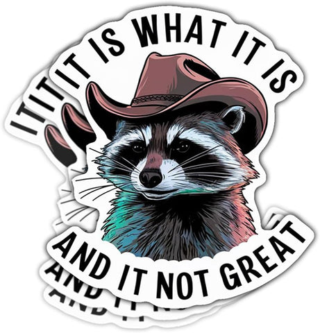 (3pcs) Raccoon It is What It is and It is Not Great Sticker, Raccoon Sticker, Sticker Die-Cut Waterproof Vinyl Sticker for Laptop Water Bottle Phone Window Helmet Decal Gift