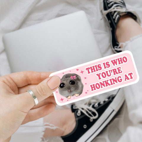 3 Pcs This is Who You are Honking at Sad Hamster Bumper Sticker, Please Don't Honk This is Me Pink Meme Sticker - Vinyl Decal 5 inches for Water Bottles Laptop Phone Car Helmet