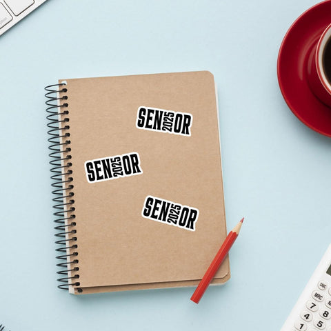 3 Pcs Senior 2025 Stickers, Senior Stickers, Senior Car Decorations Class of 2025, Senior Year 2025 - Stickers for Laptop Water Bottle Phone Car Window Helmet Vinyl Stickers 3 Inches