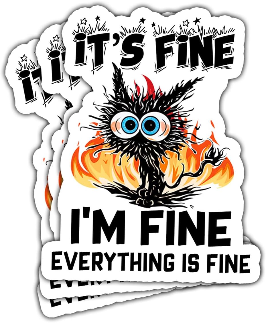 3Pcs Its Fine Im Fine Everythings Fine, Funny Stickers for Adults, Cat Stickers for Water Bottles, Dumpster Fire This is Fine Sticker - Vinyl Stickers Waterproof for Laptop Car Window Helmet 3 Inches