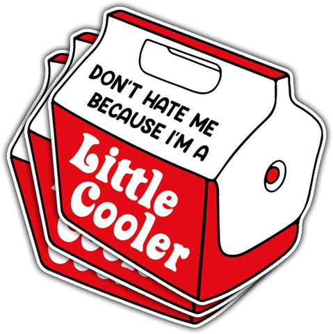 3 Pcs Dont Hate Me Because Im a Little Cooler Sticker, Funny Little Cooler Pun Stickers for Laptop Bottle Phone Car Helmet 3"x3" (L2)