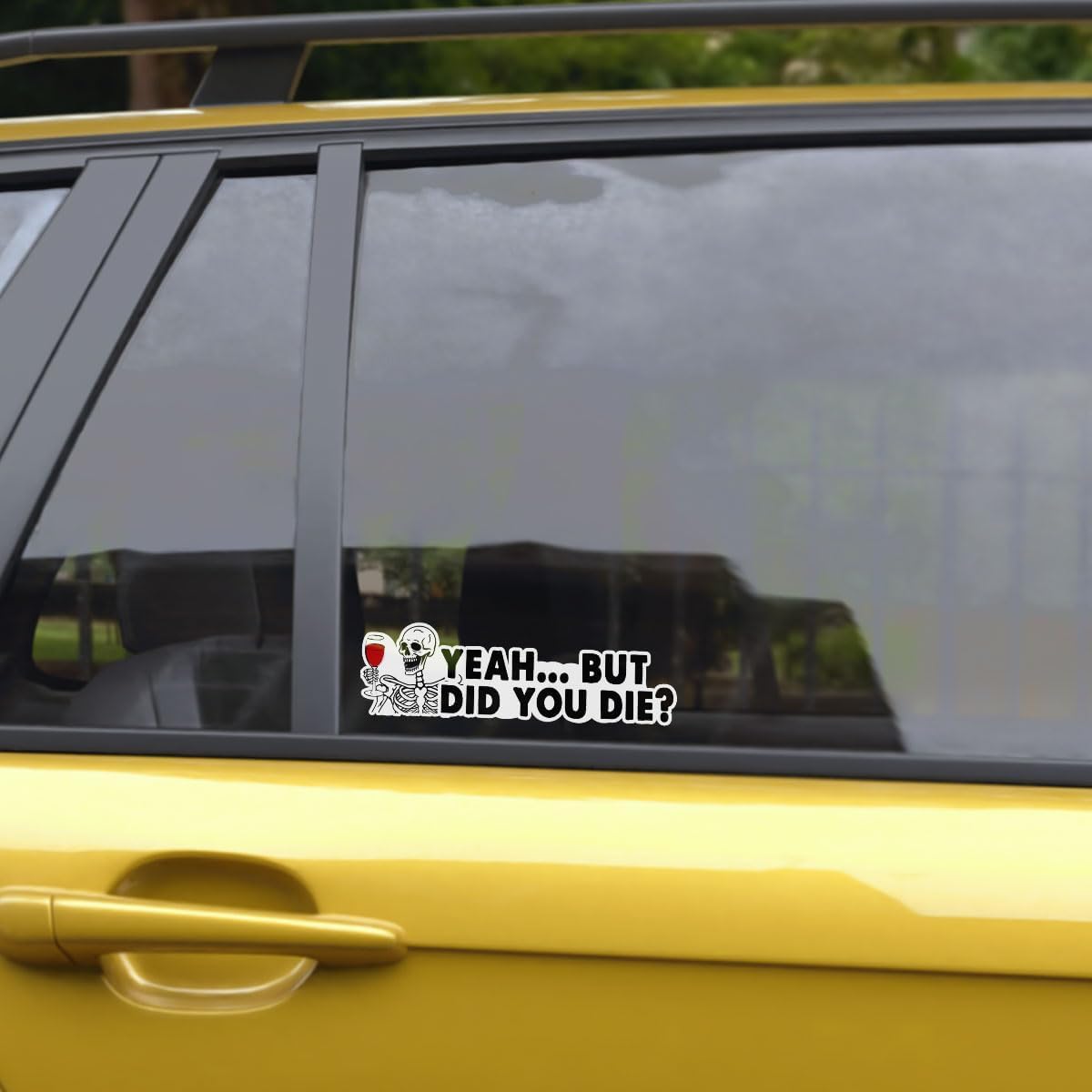 3 Pcs But Did You Die Car Decal, But Did You Die Sticker, But Did You Die, But Did You Die Funny Car Decal, But Did You Die Decal Vinyl Sticker, Funny Quote Stickers for Laptop Phone Car Helmet 3"x3"
