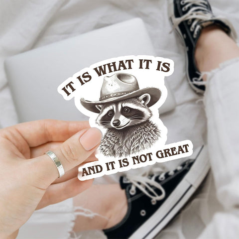 (3 Pcs) It is What It is and It Not Great Sticker, Funny Raccoon Sticker - Stickers for Laptop Water Bottle Phone Car Window Helmet Vinyl Stickers 3 Inches