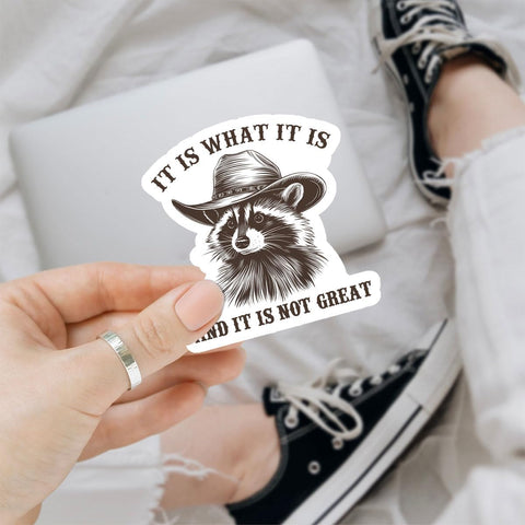 3Pcs It is What It is and It is Not Great Sticker Funny Raccoon Stickers Raccoon Meme It is What It is Bumper Sticker It is What It is Decal for Hardhats for Laptop Bottle Phone Car Hard Hat 3"