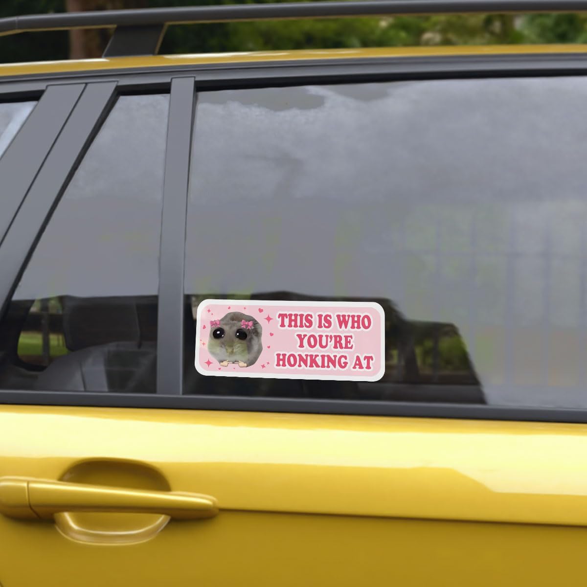 3 Pcs This is Who You are Honking at Sad Hamster Bumper Sticker, Please Don't Honk This is Me Pink Meme Sticker - Vinyl Decal 5 inches for Water Bottles Laptop Phone Car Helmet