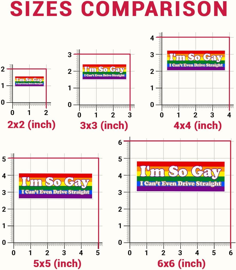 3Pcs I'm So Gay I Can't Even Drive Straight Vinyl Sticker, I'm So Gay Sticker, Rainbow LGBT Stickers, LGBT Flag Pride Bumper Decal, Gay Proud Sticker- Sticker For Laptop Water Bottle Phone Hard Hat 3"