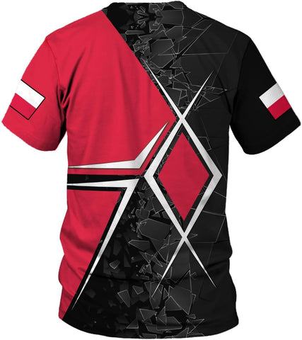 Parvii Personalized Poland Shirt Women & Men, Polska Tshirt Women Poland Shirt 3D, Poland Pride Shirts, Polish Eagle Polska