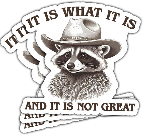 (3 Pcs) It is What It is and It Not Great Sticker, Funny Raccoon Sticker - Stickers for Laptop Water Bottle Phone Car Window Helmet Vinyl Stickers 3 Inches