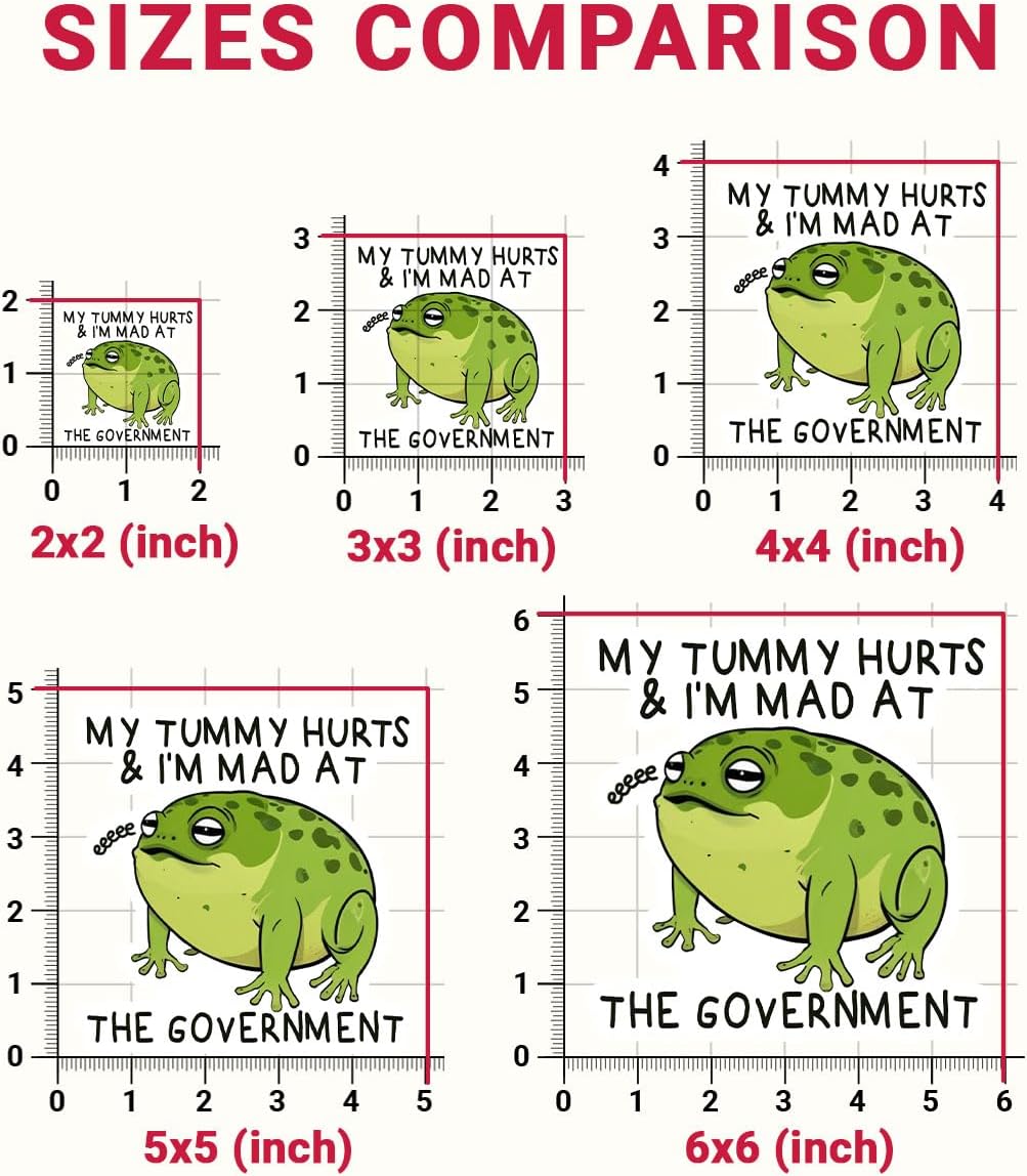 3 Pcs My Tummy Hurts and Im Mad at The Government Sticker, Sarcastic Humor Frog Stickers Waterproof - Vinyl Stickers for Water Bottles Laptop Car Hart Hat Helmet 3 Inches