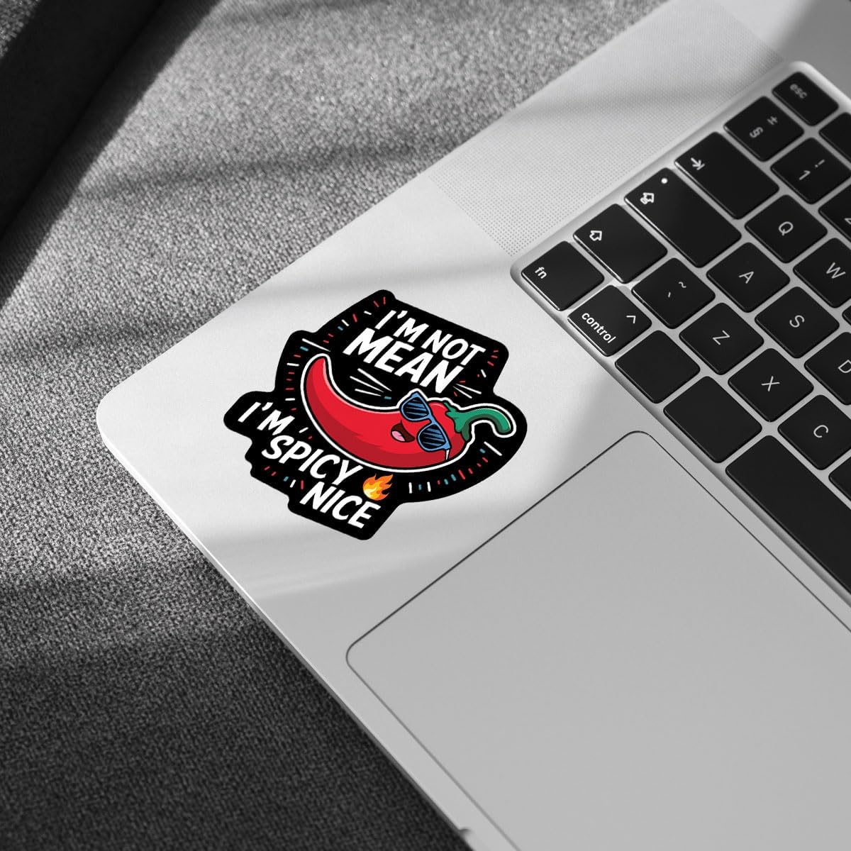 3 Pcs I'm Not Mean I'm Spicy Nice Sticker, I'm Not a Hot Mess I'm a Spicy Disaster Sticker Laptop Sticker, Funny Sticker Sarcastic for Water Bottle Tumbler Phone Case Laptop Cars 3"x3"