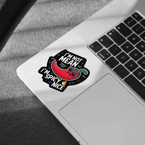 3 Pcs I'm Not Mean I'm Spicy Nice Sticker, I'm Not a Hot Mess I'm a Spicy Disaster Decal Laptop Sticker, Funny Sarcastic for Water Bottle Tumbler Phone Case Laptop Cars 3"x3"
