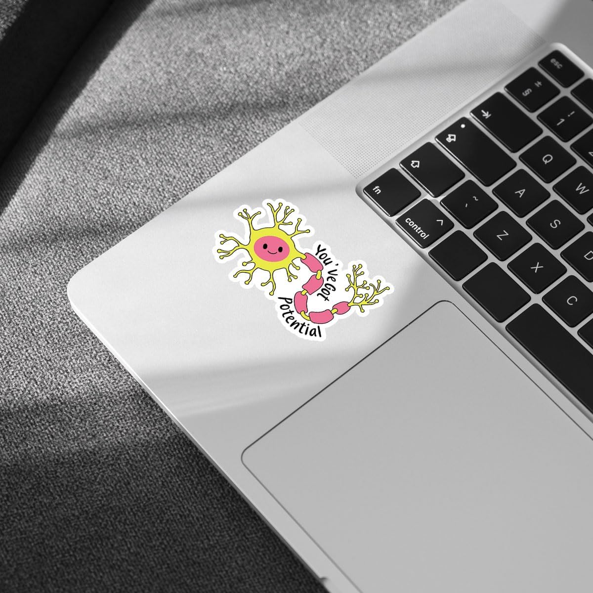 3 Pcs You've Got Potential Sticker, Neuroscience Stickers, Neuroscience Brain Sticker, Funny Medical Stickers Nurse Cute Neuron Sticker for Water Bottle Tumbler Phone Case Laptop 3"x3"