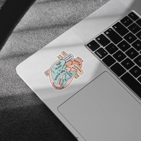 3 Pcs Anatomical Heart Holographic Stickers, Medical Hologrpahic Vinyl Stickers, Holographic Vinyl Water Assistant Stickers for Laptop Phone Water Bottle Cardiologist Phone Case 3"x3"