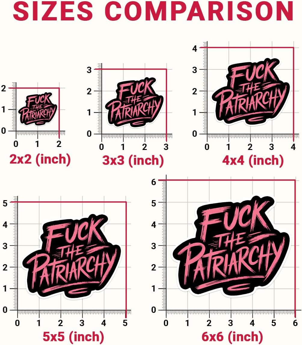 3 Pcs Fuck The Patriarchy Sticker, Bumper Sticker Feminism, Destroy The Patriarchy, Political Bumper Stickers - Vinyl Sticker 3 Inches for Water Bottles Laptop Phone Car Window Helmet