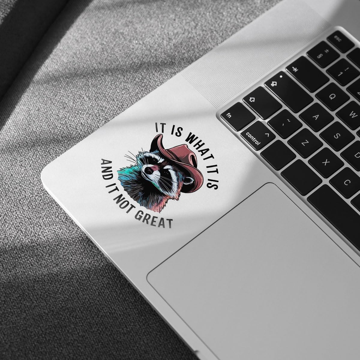 (3pcs) Raccoon It is What It is and It is Not Great Sticker, Raccoon Sticker, Sticker Die-Cut Waterproof Vinyl Sticker for Laptop Water Bottle Phone Window Helmet Decal Gift