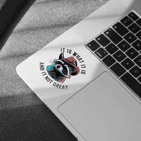 (3pcs) Raccoon It is What It is and It is Not Great Sticker, Raccoon Sticker, Sticker Die-Cut Waterproof Vinyl Sticker for Laptop Water Bottle Phone Window Helmet Decal Gift