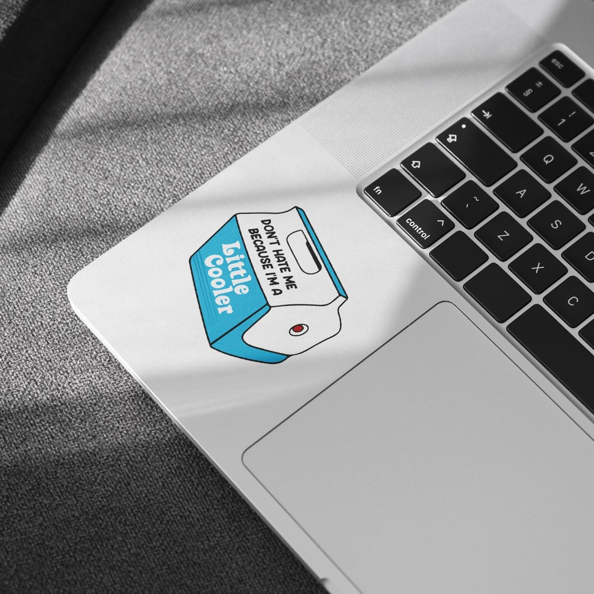 3 Pcs Dont Hate Me Because Im a Little Cooler Sticker, Funny Little Cooler Pun Stickers for Laptop Bottle Phone Car Helmet 3"x3" (L2)