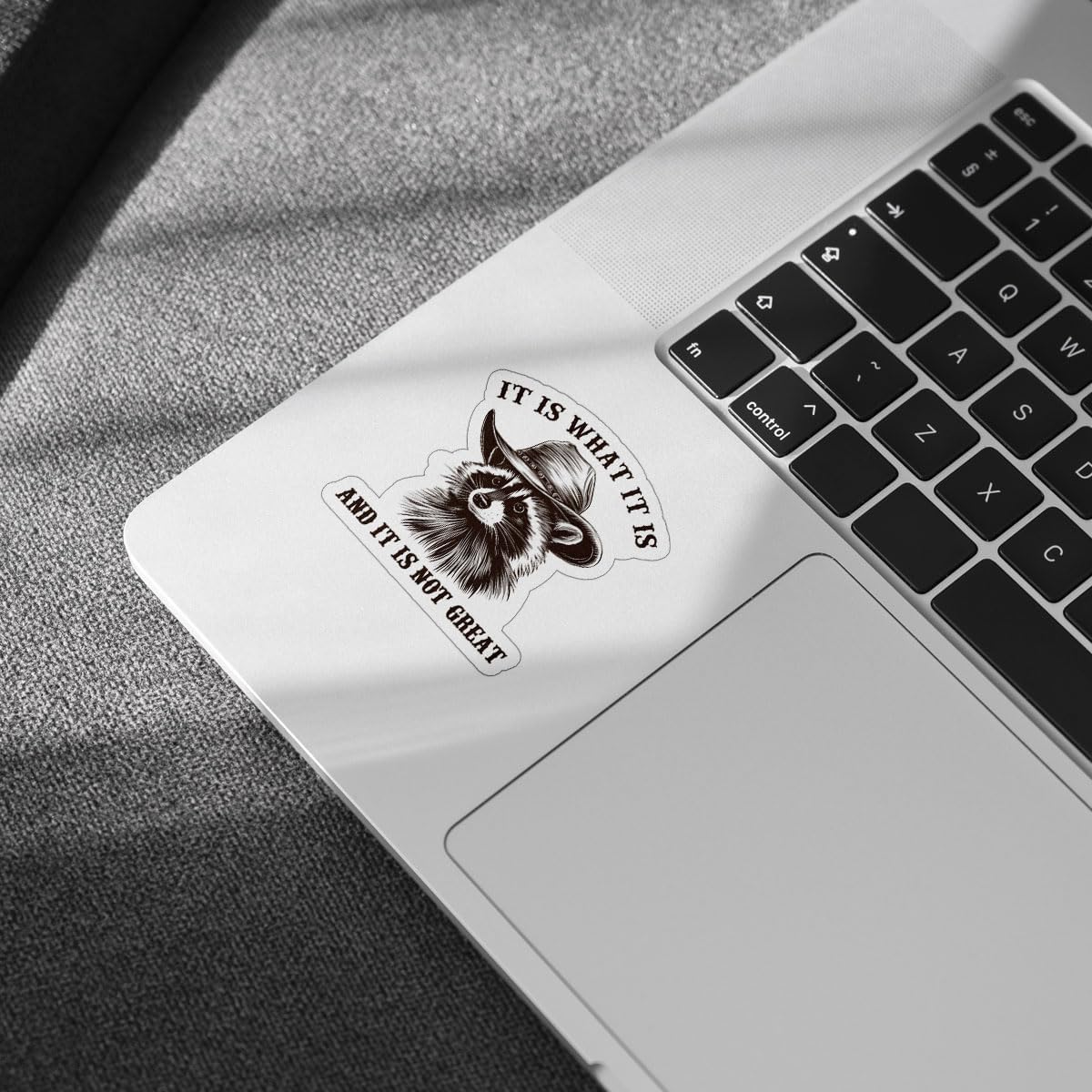 3Pcs It is What It is and It is Not Great Sticker Funny Raccoon Stickers Raccoon Meme It is What It is Bumper Sticker It is What It is Decal for Hardhats for Laptop Bottle Phone Car Hard Hat 3"