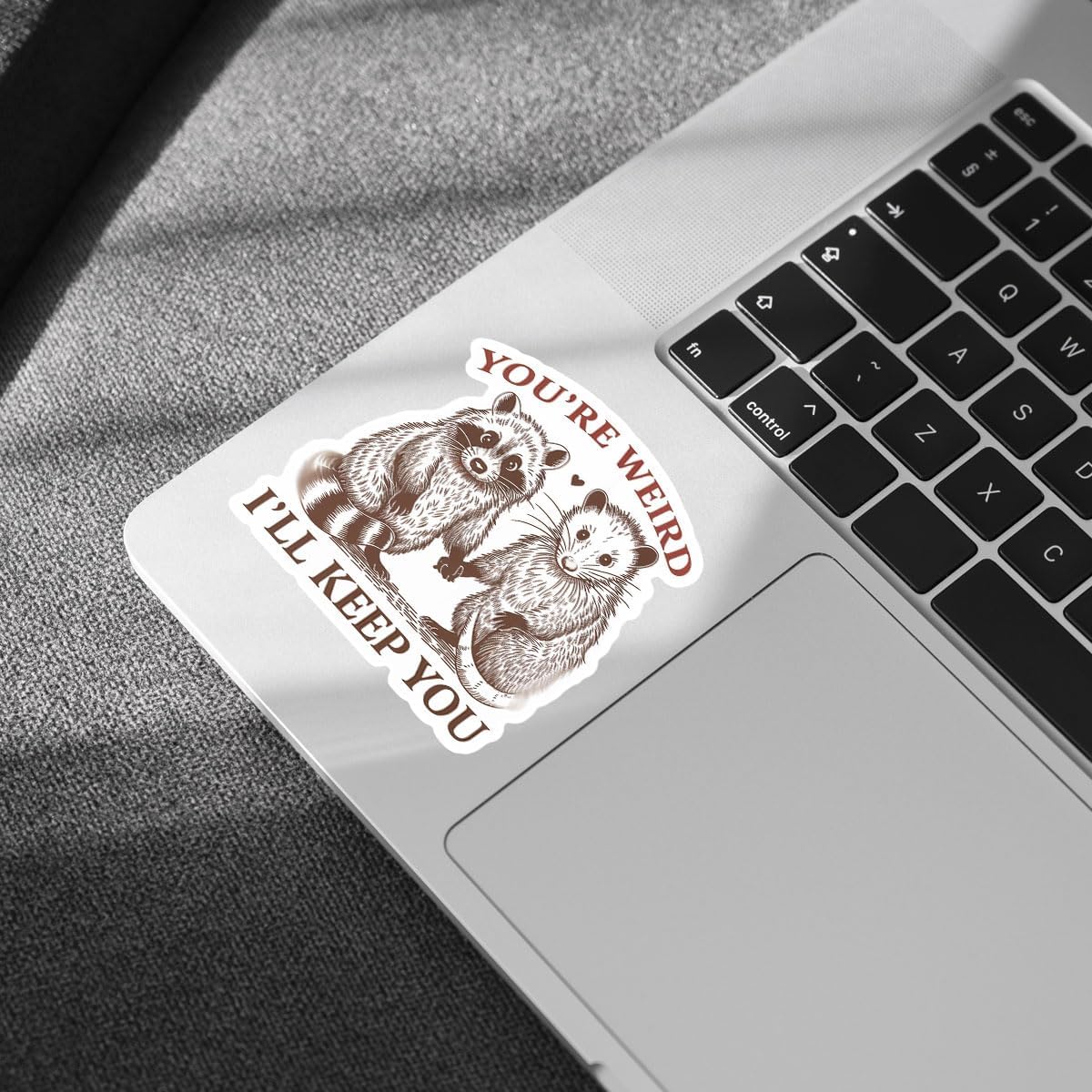 3 Pcs You're Weird I'll Keep Sticker Funny Your Weird I'll Keep You Sticker Opossum & Raccoon You're Weird I'll Keep You Vintage Car Stickers for Laptop Bottle Phone Hard Hat Helmet Gifts 3"