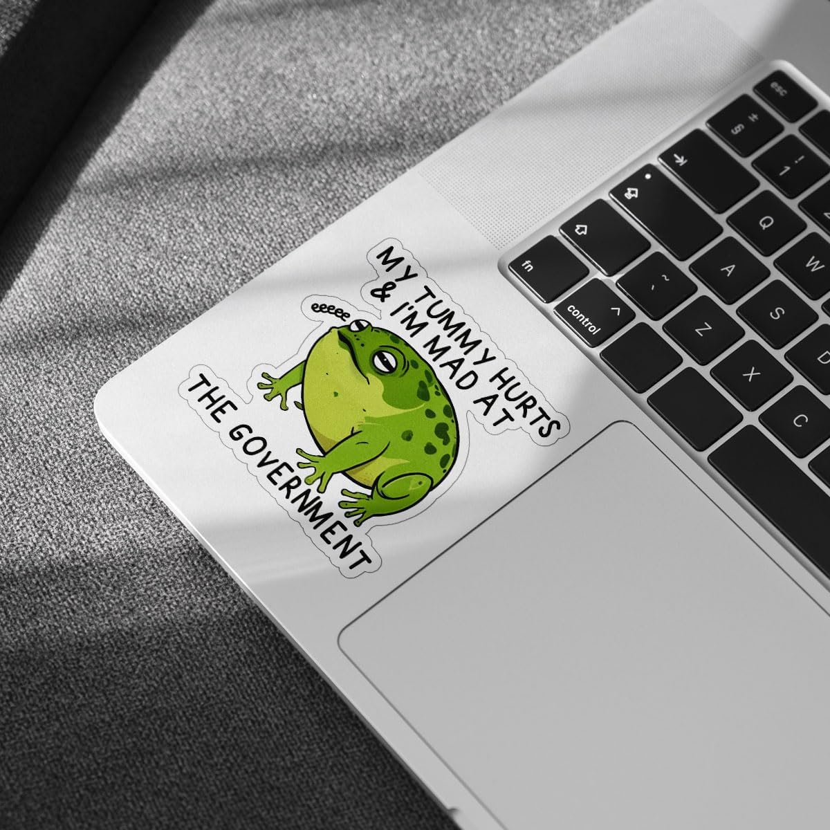 3 Pcs My Tummy Hurts and Im Mad at The Government Sticker, Sarcastic Humor Frog Stickers Waterproof - Vinyl Stickers for Water Bottles Laptop Car Hart Hat Helmet 3 Inches