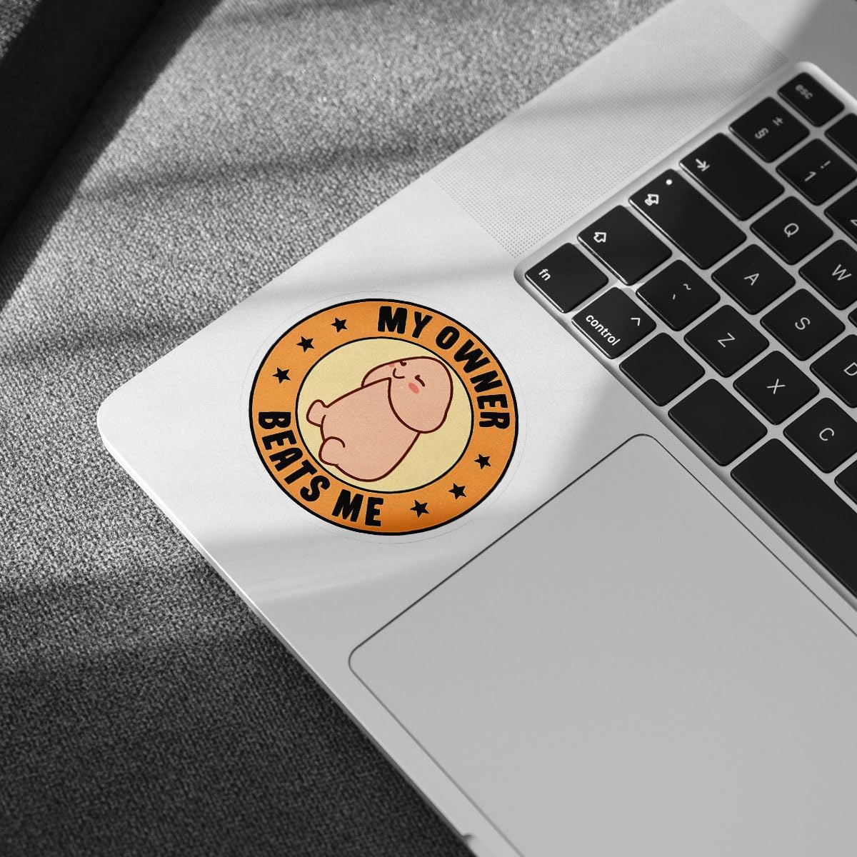 (3pcs) My Owner Beats Me Sticker, Beats Stickers Adult Humor Stickers, You're My Beat - Stickers for Laptop Water Bottle Phone Car Window Helmet Vinyl Stickers 3 Inches (Style 2)