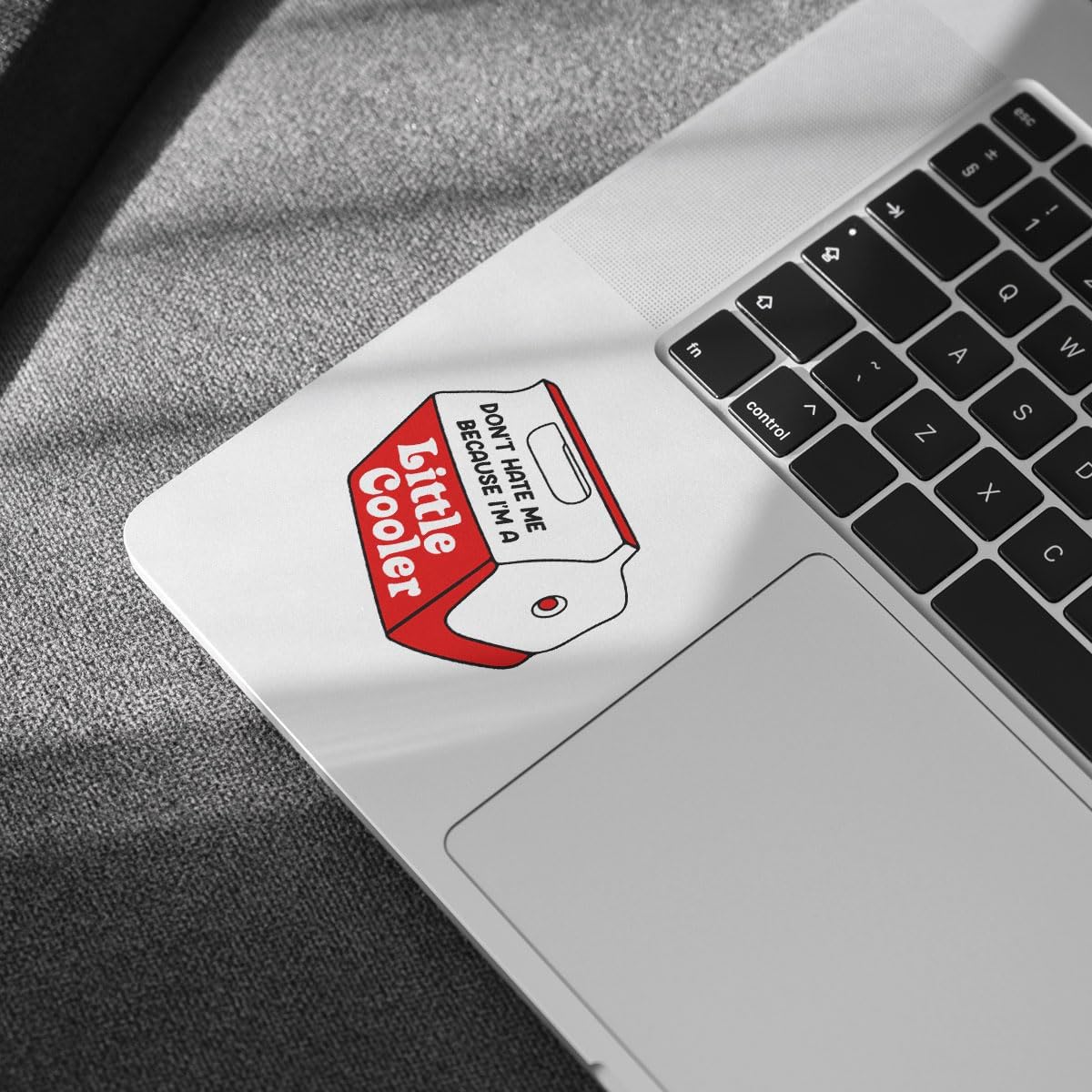 3 Pcs Dont Hate Me Because I'm A Little Cooler Sticker, Cooler Funny Pun Stickers for Laptop Bottle Phone Car Helmet 3'x3' (L1)